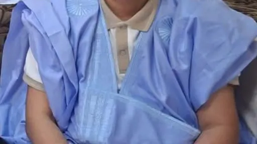 محمد الأمين ولد الطالب  محمد الحقيقة 