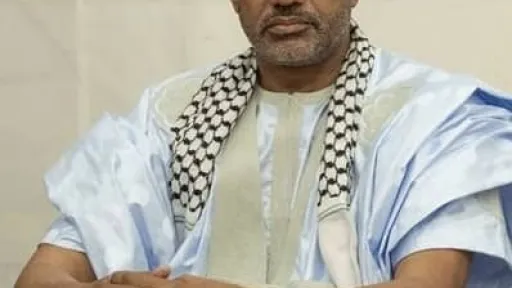 الشيخ بوي ولد شيخنا محمد تقي الله