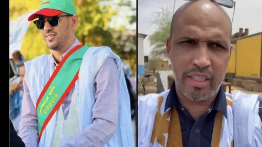 النائب