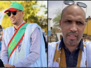 النائب