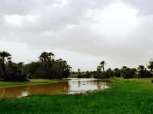الخريف