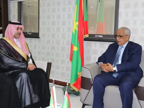 وزير الشؤون الاقتصادية يبحث سبل تعزيز التعاون التنموي مع الرئيس التنفيذي للصندوق السعودي للتنمية