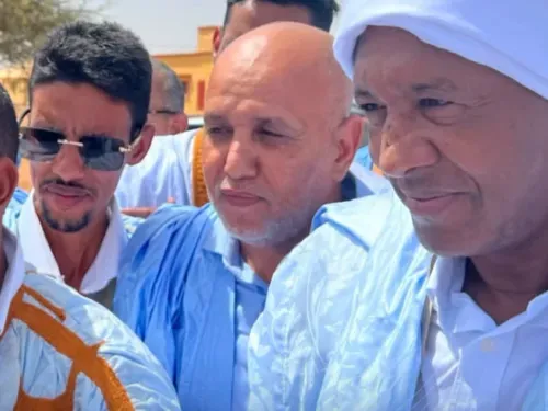 إشادة واسعة بنجاح مهمة مبعوث حزب الانصاف الوزير السابق أحمديت ولد الشين في الحوض الغربي